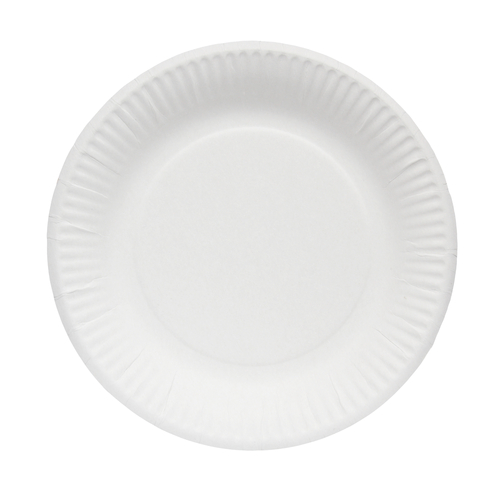 paper plate